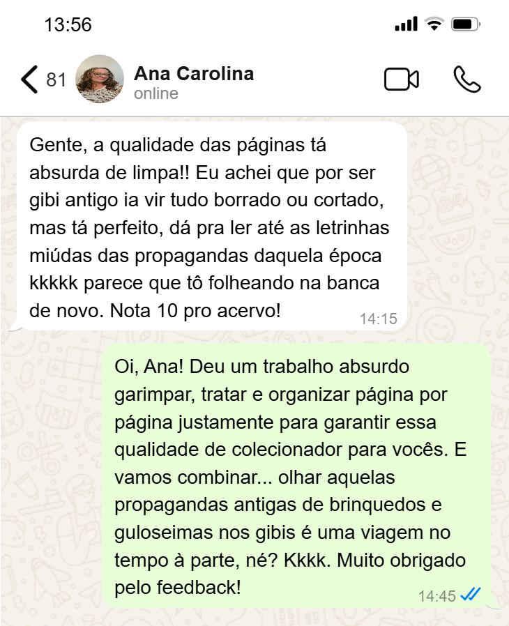 Depoimento de Ana Carolina via WhatsApp
