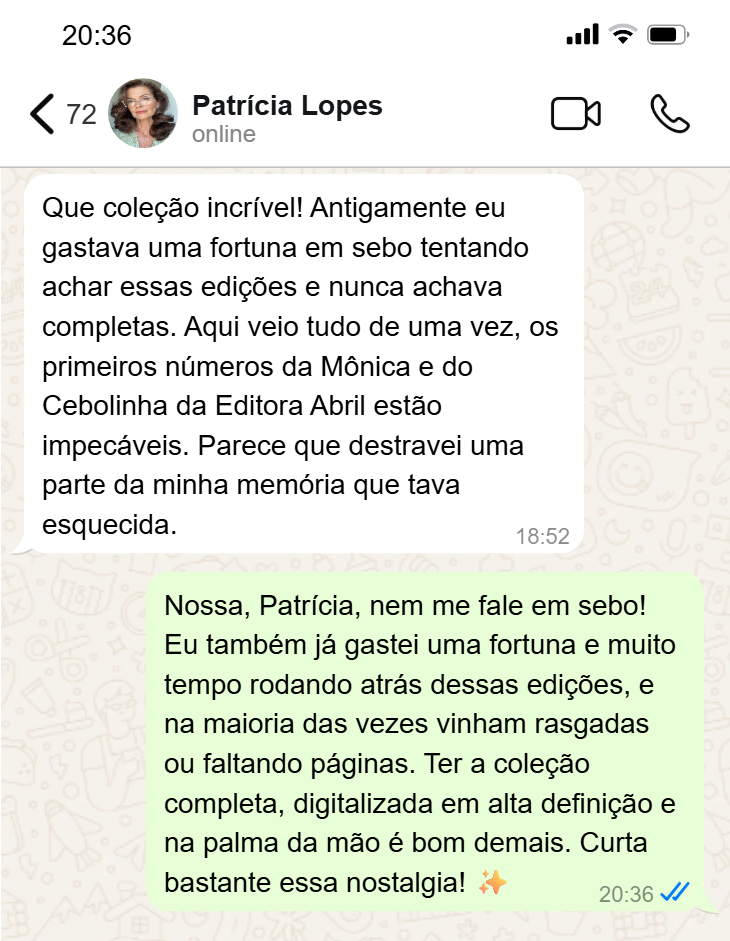 Depoimento de Patrícia Lopes via WhatsApp
